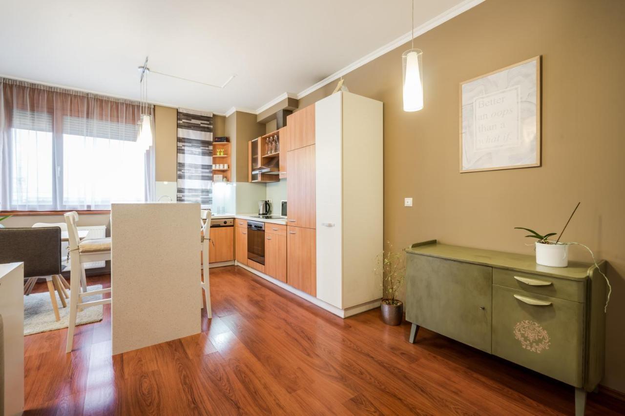 Appartement Downtown Karpat 9 *