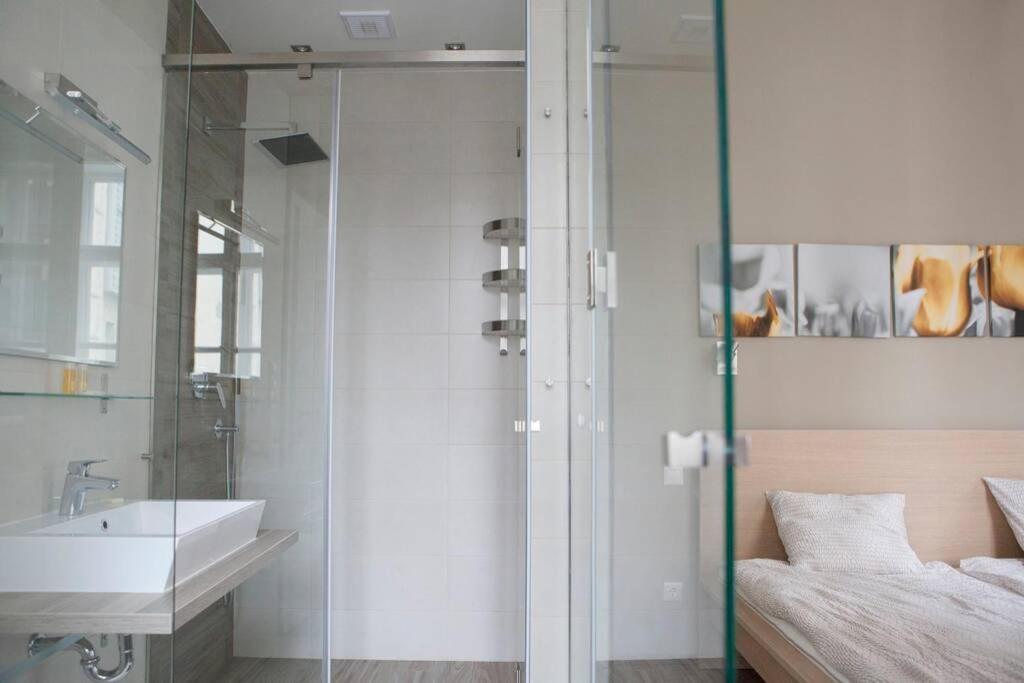 Downtown Regiposta 15 Appartement *
