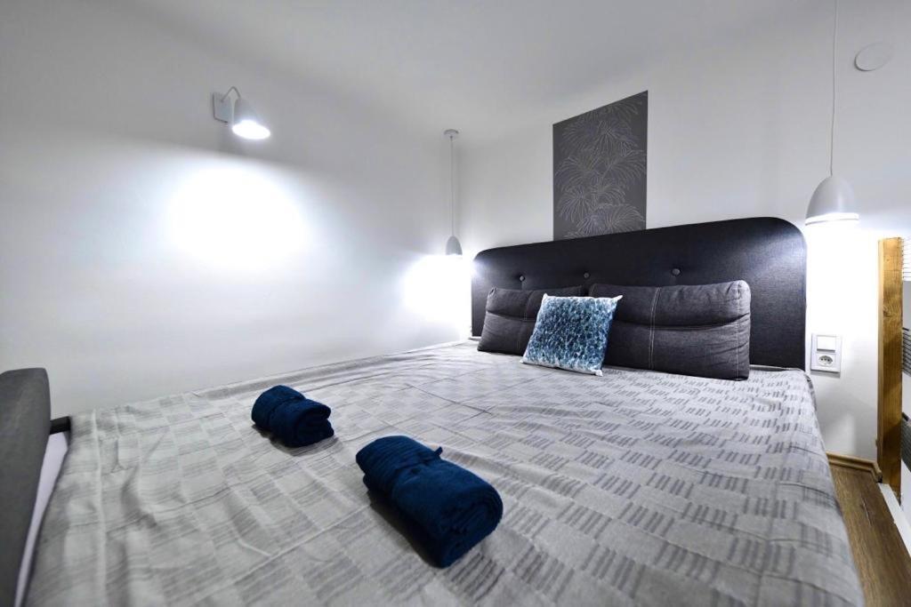 Apartman Cosy Flat In Király Str,queen
