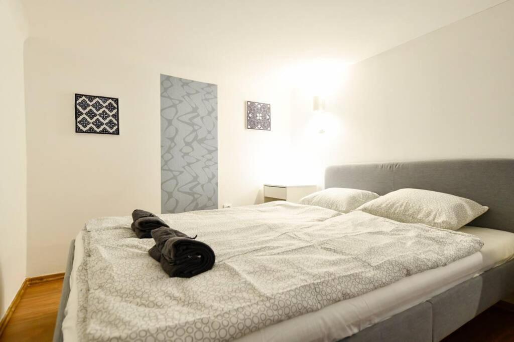 Cosy Two Bedroom Flat In Rottenbiller Str,sky * Budapest