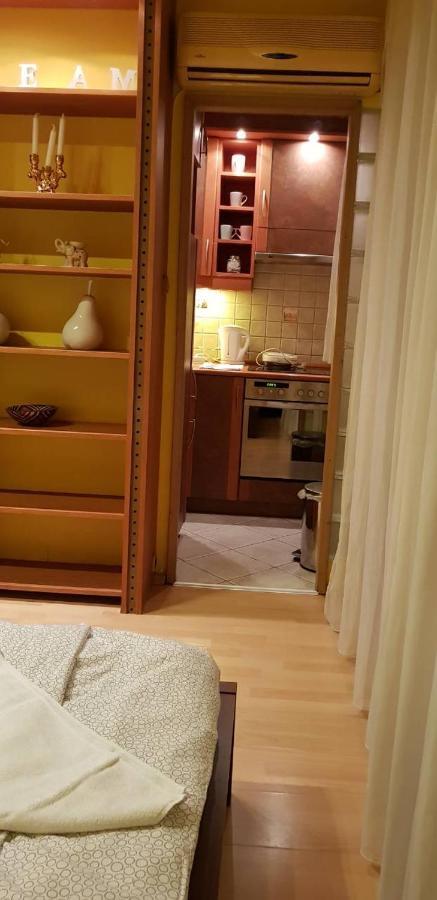 Apartment Obuda *