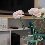 Bpr The Cribs Of Budapest - Studio33