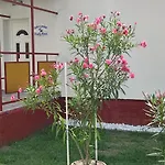 Rákos-patak Family House