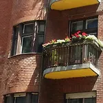 Buda Trio Apartments