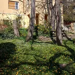 Birdnest Apartment
