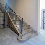 Kalvin Klein Apartment