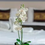 Andrassy Thai Hotel