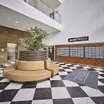 Zene Apartment Vinyl Records & Projector