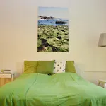 Green Apartment