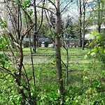 Greenapartman