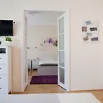 Synagogue View Apartment