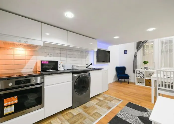 Lovely Studio Flat In Damjanich Street - Leonard
