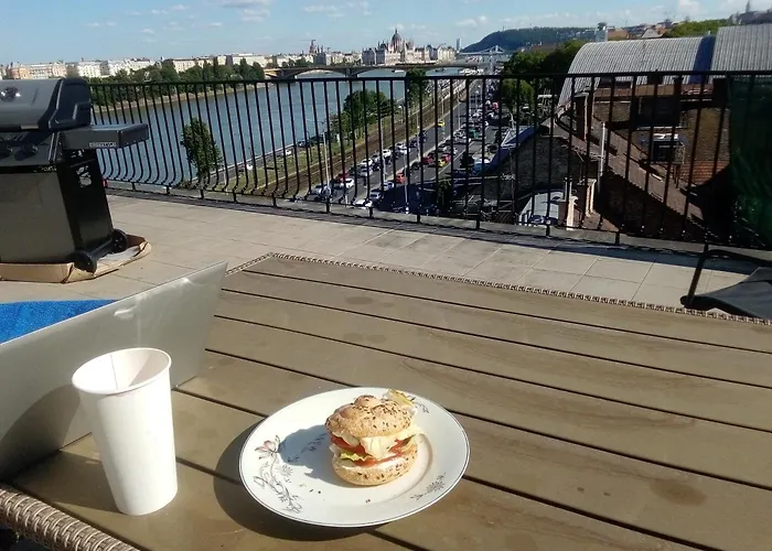 A Rooftop Near Danube And Margareth Island