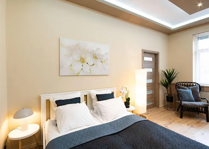 Central - Green - Comfy