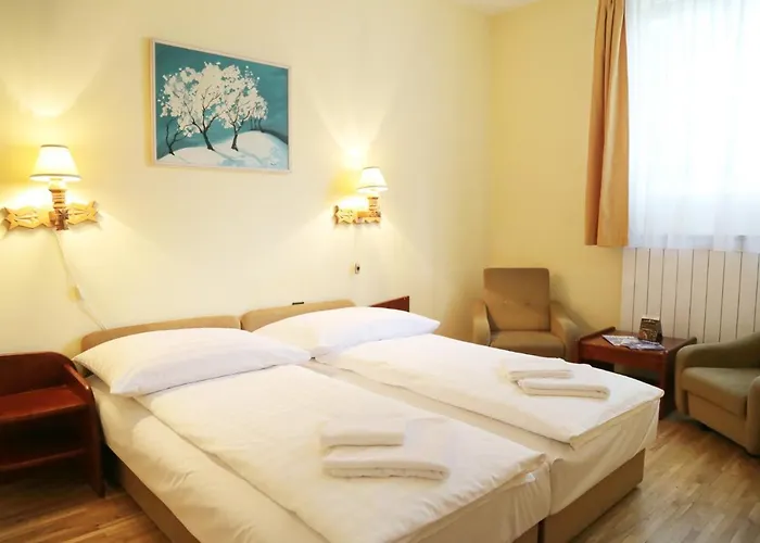 Hotel Bara Gellert