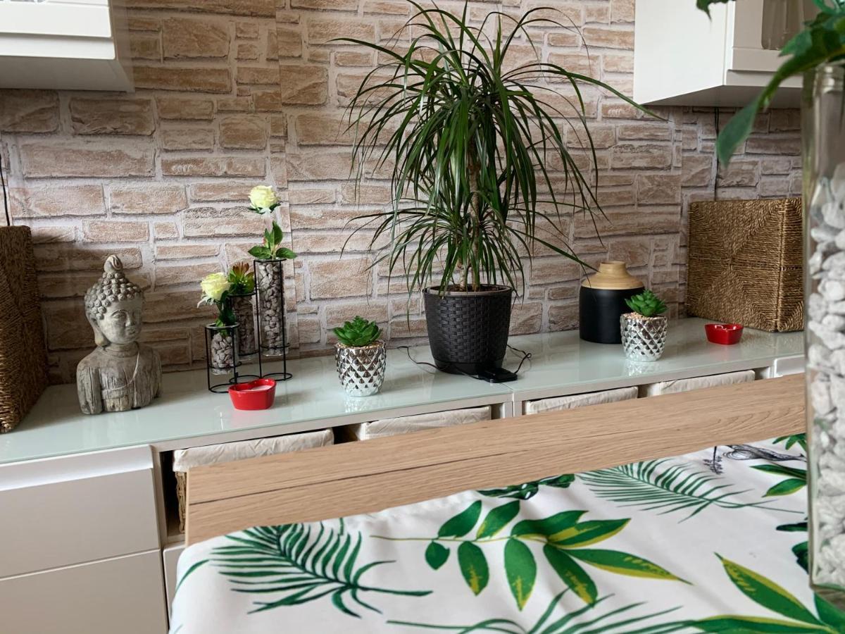 Apartamento Simon