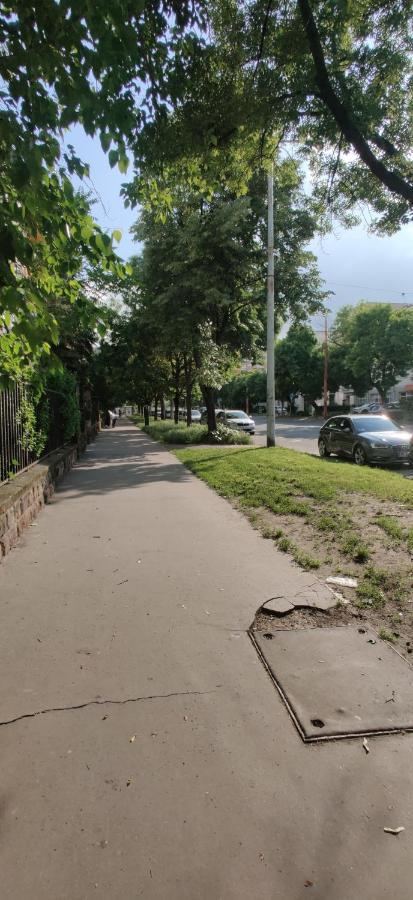 Dorothy Near Park Lejlighed