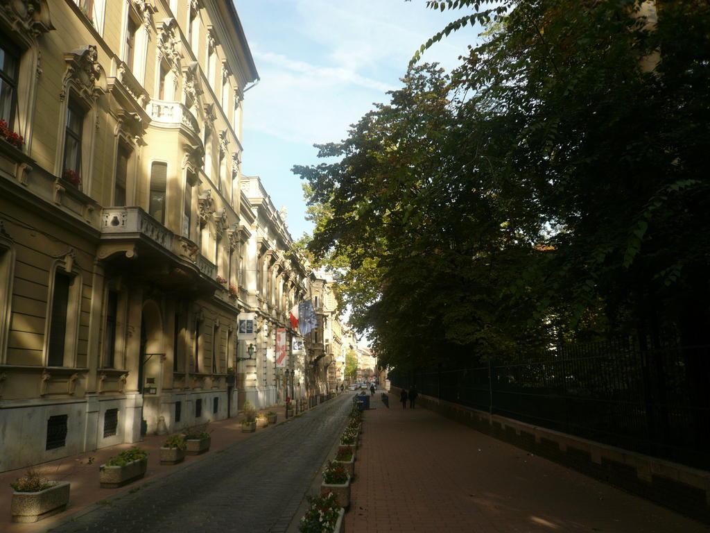 Museum View *