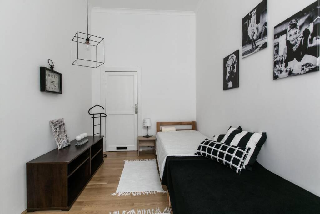 Your Gorgeous And Spacious Dream Free Parking Budapest