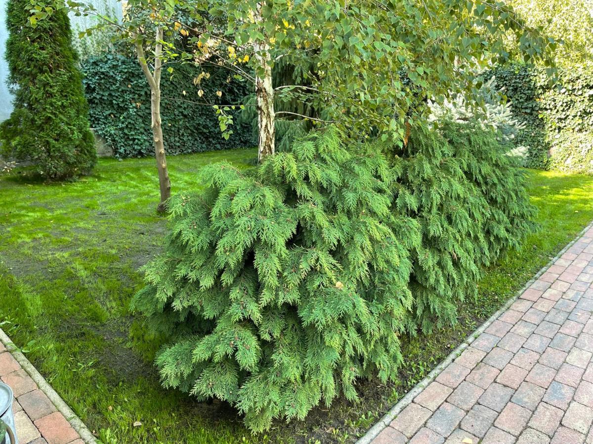 Full 2Bdr Garden House Near To Downtown Metro Free Parking Pensjonat Budapeszt