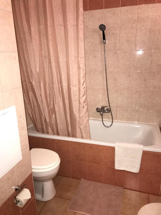 Downtown Rose Garden Apartments Whit Garage Opcional Apartment Budapest