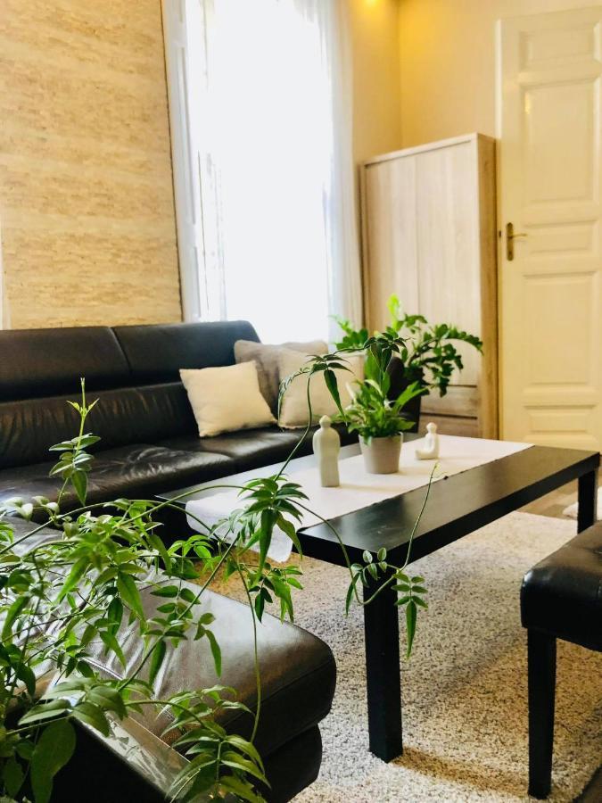 Apartment Nador Luxury *