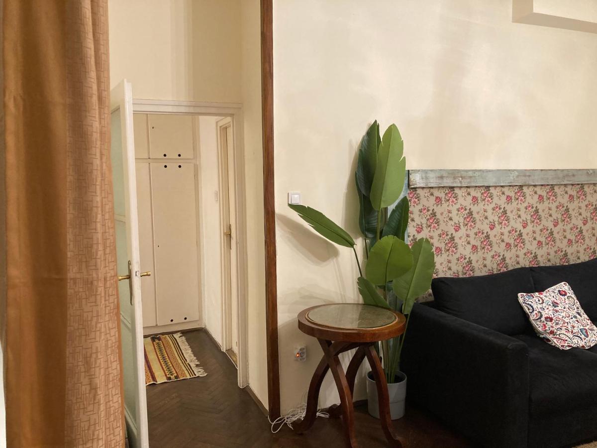 Lovely Cosy Art Flat At Center Budapeszt