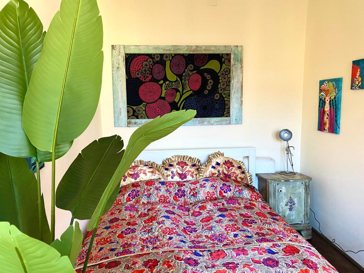 Lovely Cosy Art Flat At Center