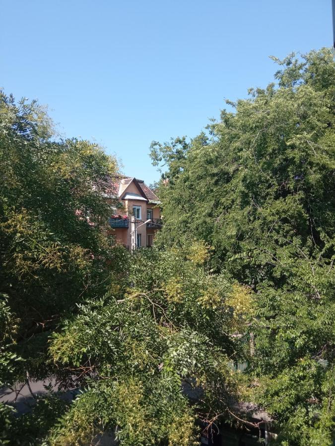 Kwatera prywatna Free Parking, Balcony, Near To Park *