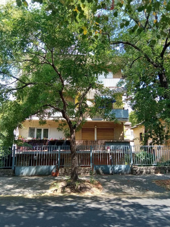 Free Parking, Balcony, Near To Park Budapeszt