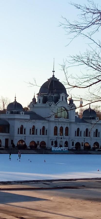 Free Parking, Balcony, Near To Park Budapest
