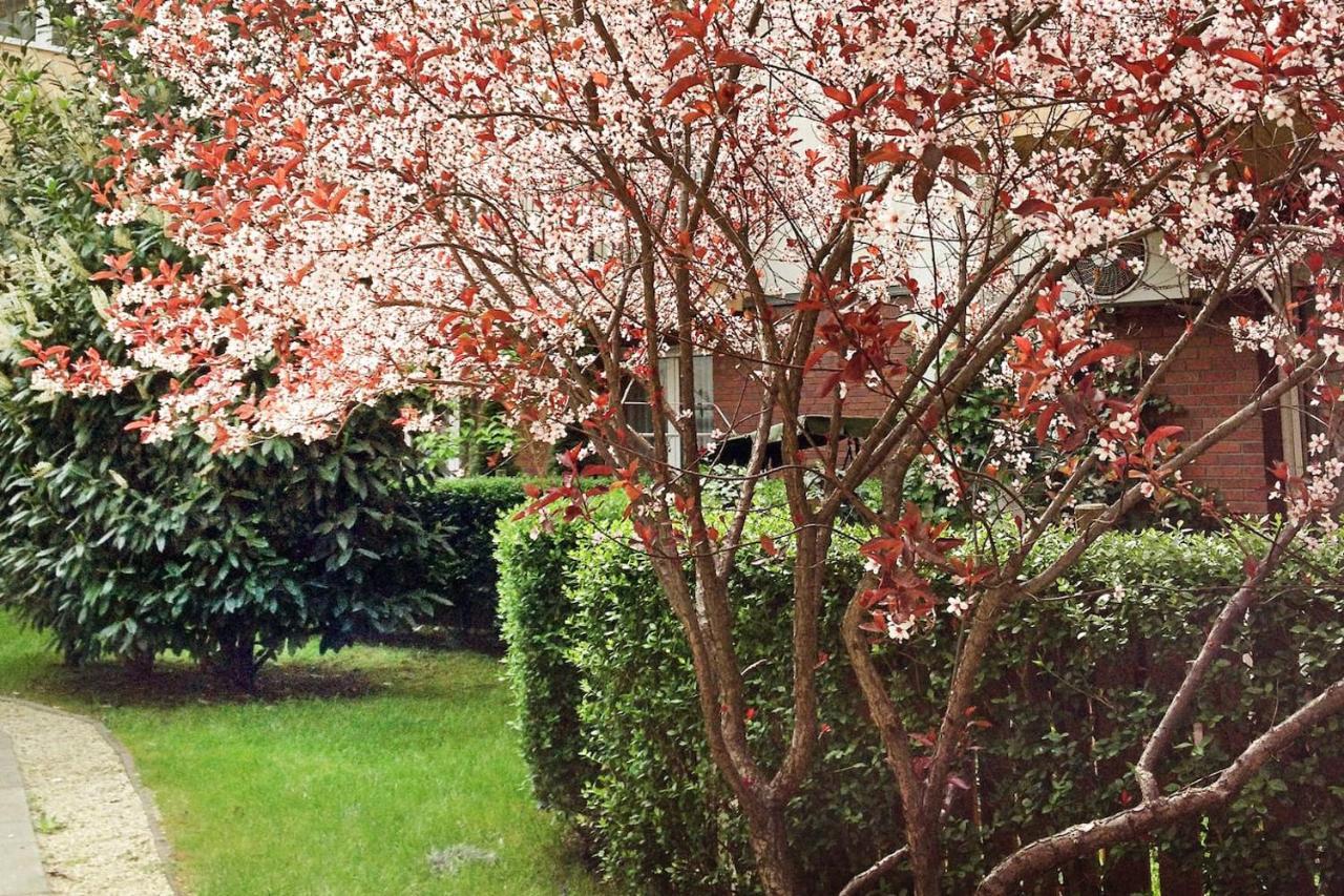 Apartmán Ilka Garden Budapest