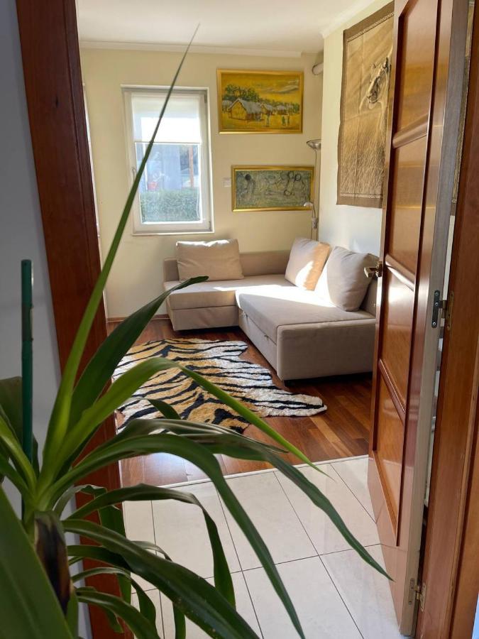 Rosehill Garden Family With A Great View Apartament *