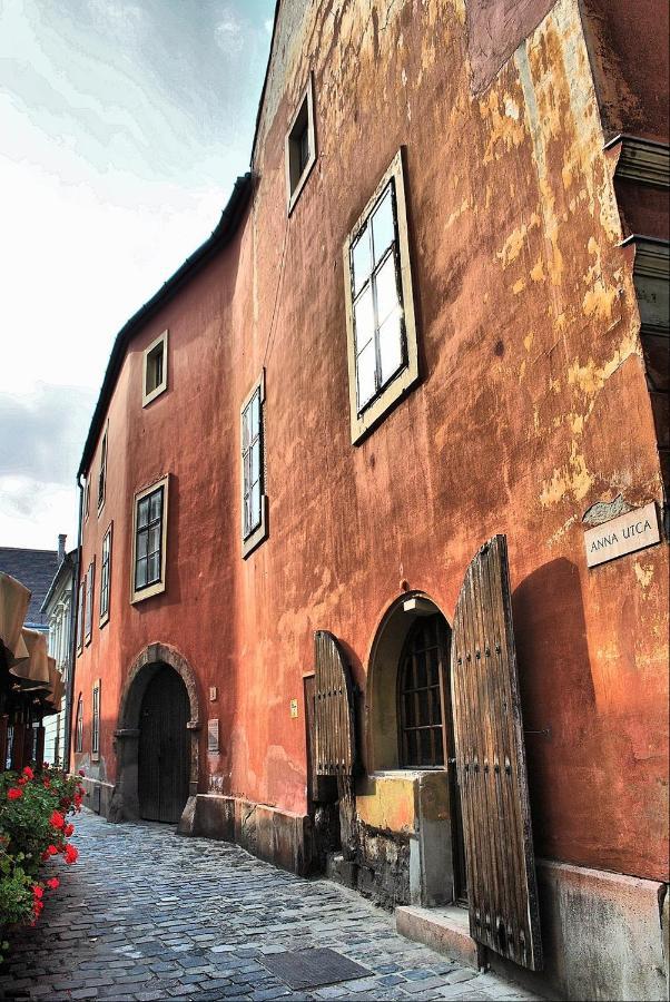 Premium Buda Castle Budapest