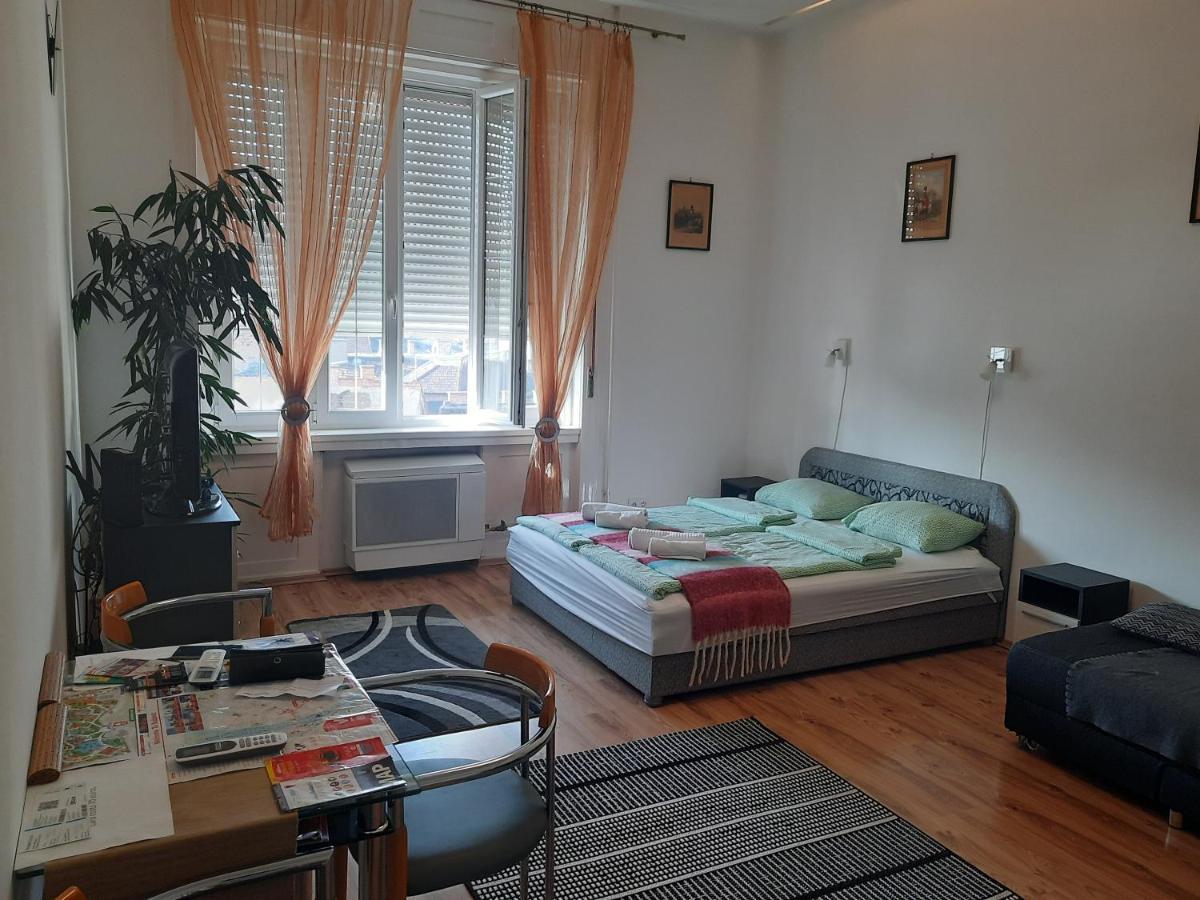 Free Garage!!! Downtown Near The New York Coffee House Apartment *