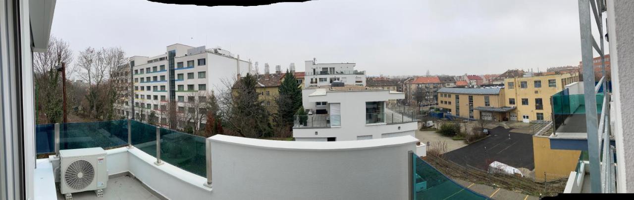 Buda Forrest Hill
