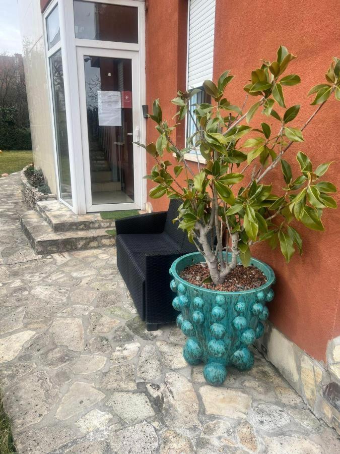Apartament Rosehill Garden Family With A Great View