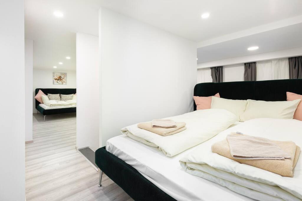 Apartment E39 Eotvos Budapest