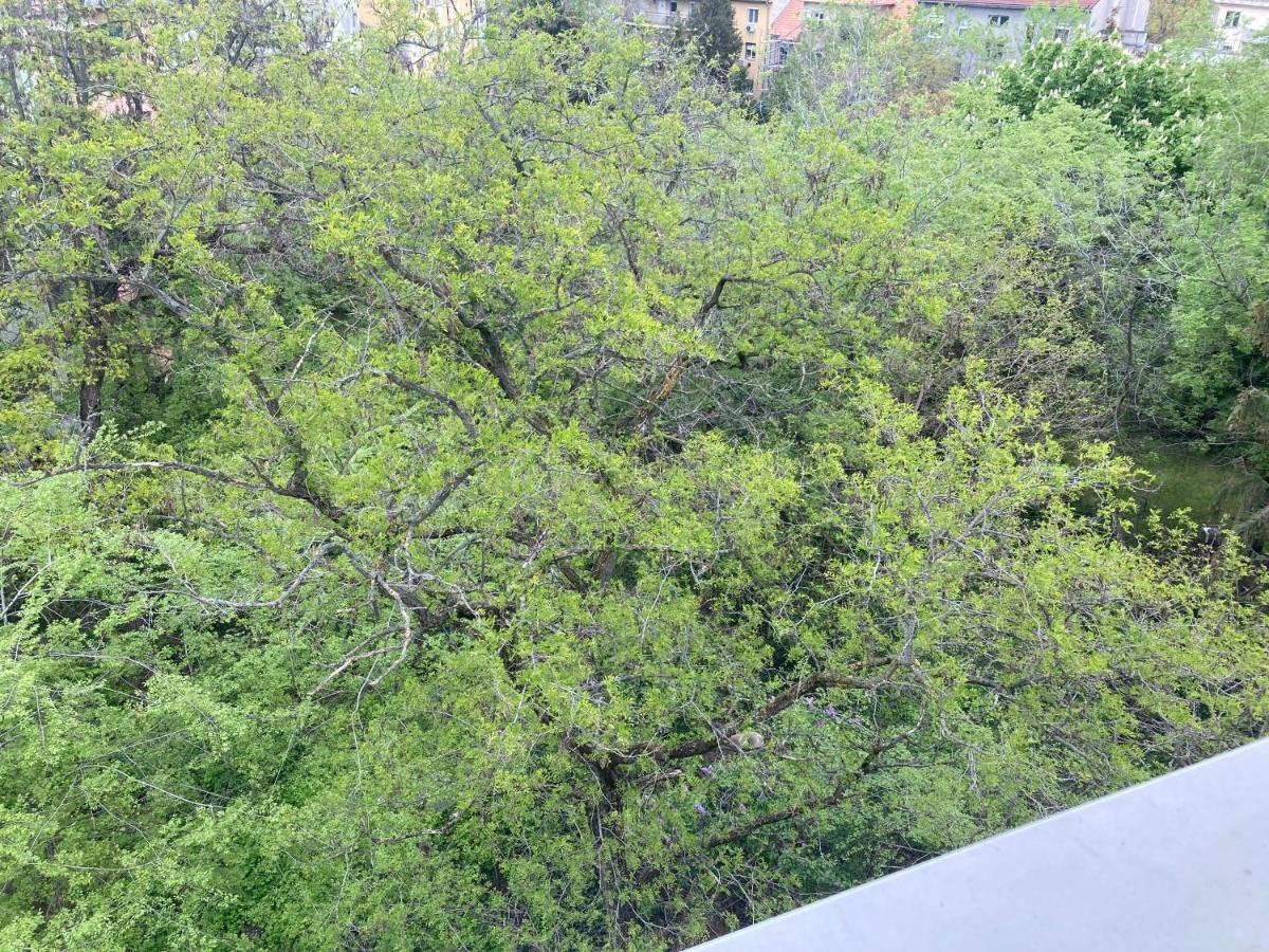 Apartment Roland - Puskas Budapest