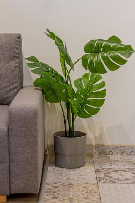 Apartman Oktogonsuite - Quiethome In Soho Budapest