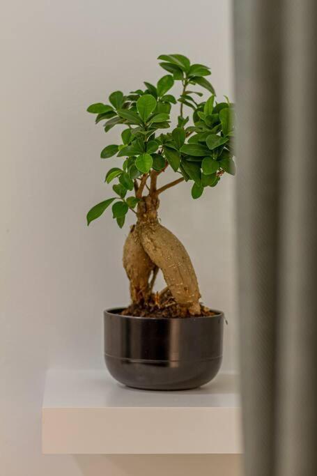 Balinese Style Downtown Apartamento *