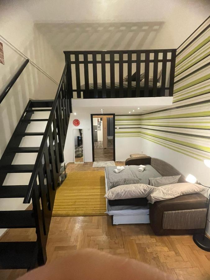 Apartment Hegedu 5 , Stylish