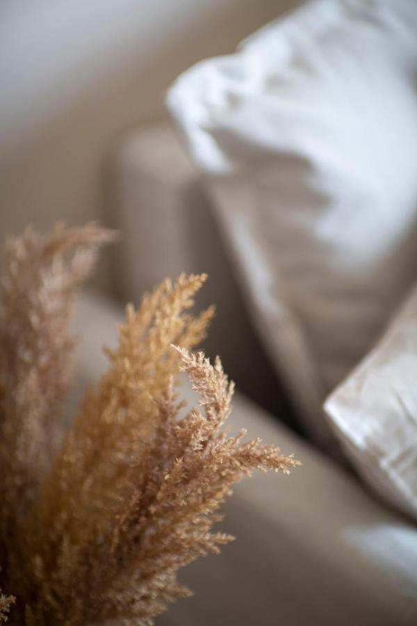 Apartment Luxurious In Liszt Ferenc Square *