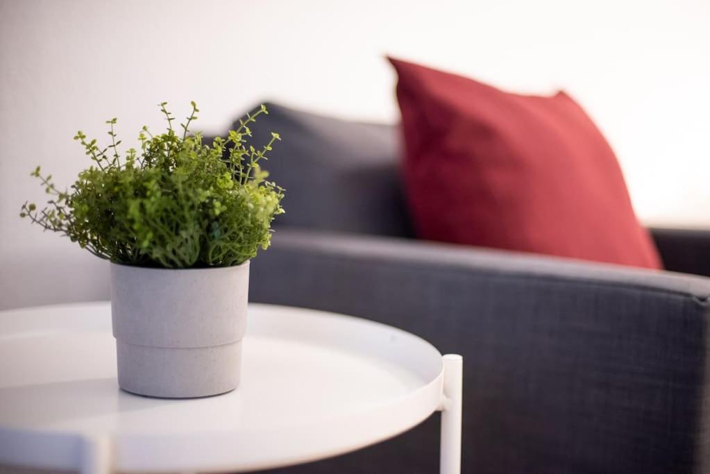 Apartamento Hidden Gem At Kalvin Ter
