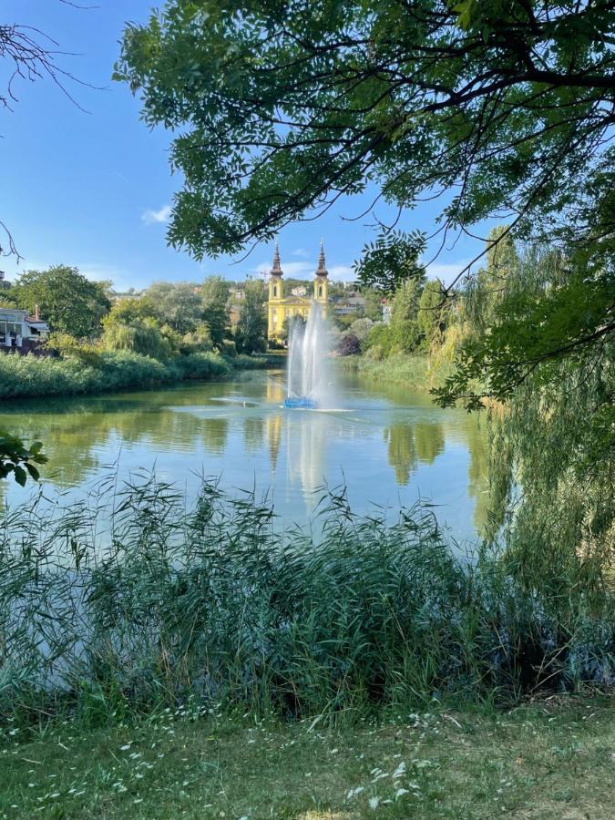 Boho Central Buda Close To Gellert Thermal Bath