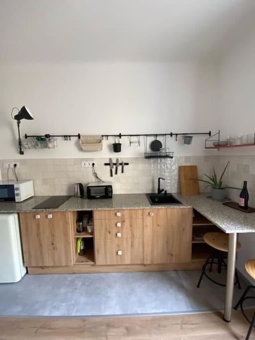 Apartment Charming In The Heart Of Gellert Area. *