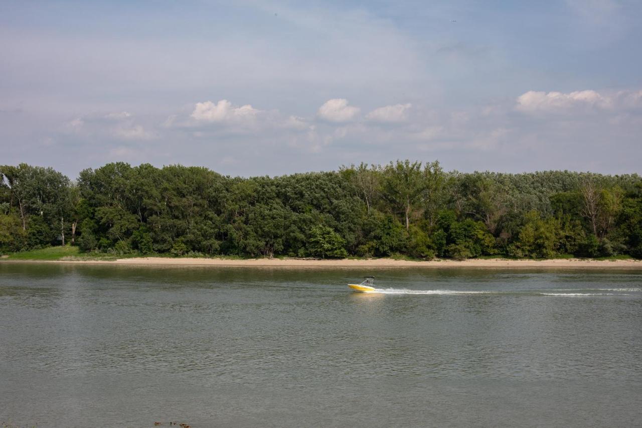 Kupolavilla-apartment-event House By The Danube River-buda Apartment *