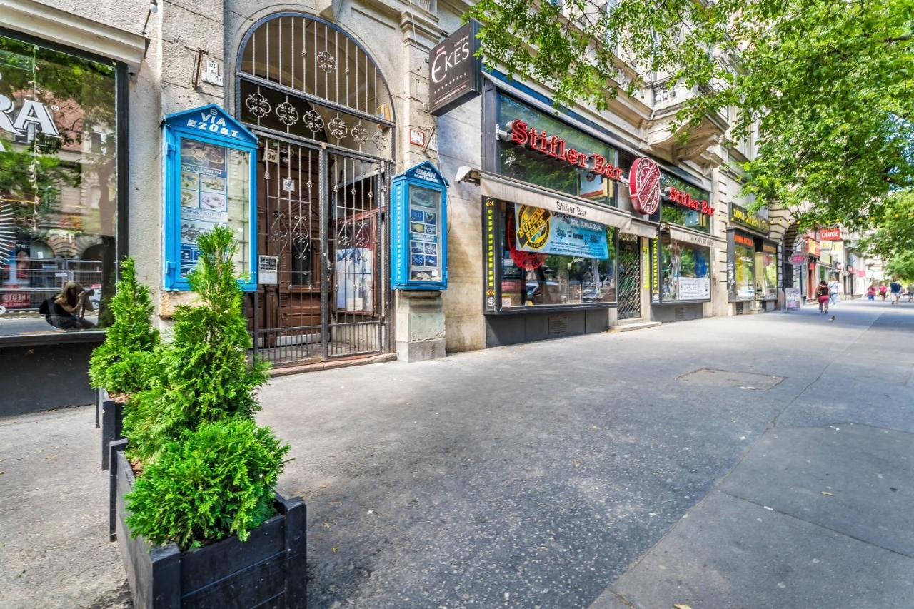 Sun-splashed Retreat In The Heart Of A Vibrant Quarter Budapest