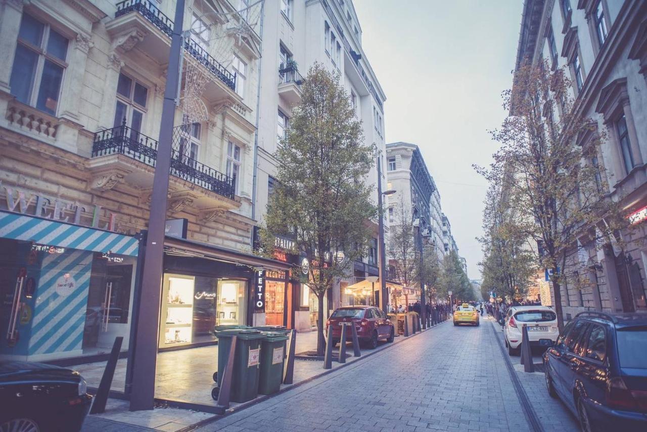 Stunning New Near Basilica Appartement *