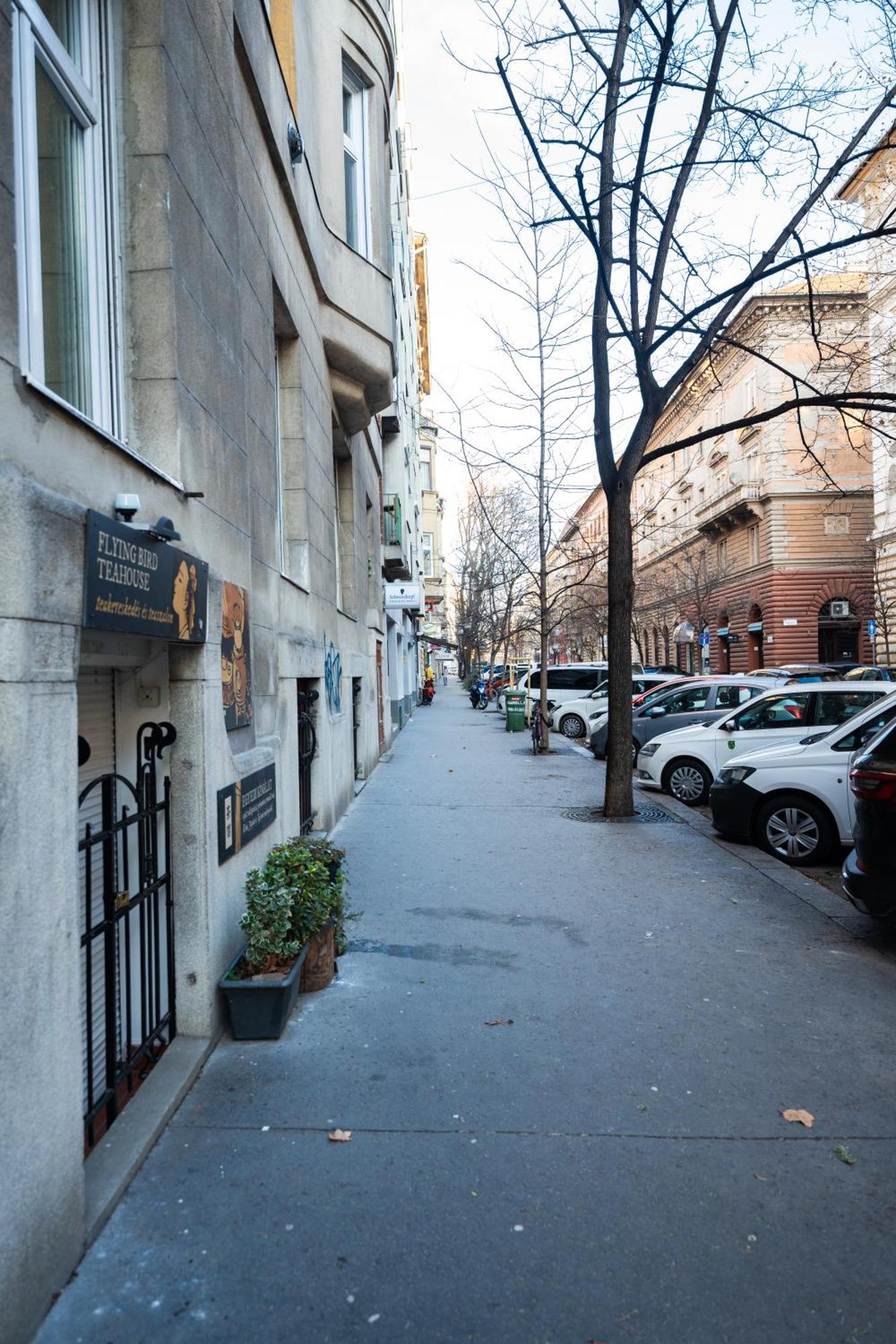 Modern, Design Lakas A Margit-sziget Mellett